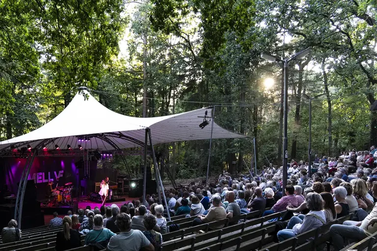 Mell VF ZINiN Theater Nijverdal – photo 2